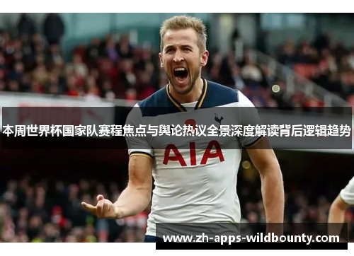 本周世界杯国家队赛程焦点与舆论热议全景深度解读背后逻辑趋势